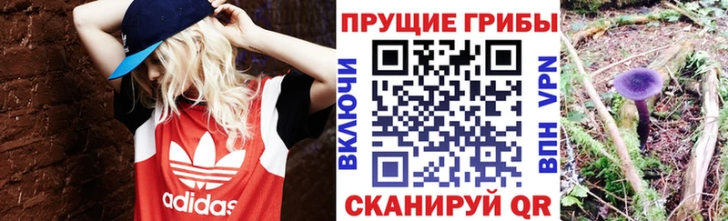 Псилоцибиновые грибы MAGIC MUSHROOMS  Купить  Тында 