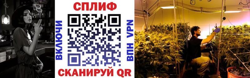 Купить Тында Канабис марихуана